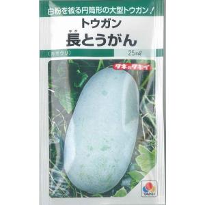 とうがん　長とうがん　22ml　タキイ交配　ＧＦ