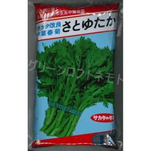 サカタのタネ（サカタノタネ） ブロッコリー おはよう 2000粒 （株