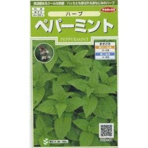ハーブの種 ペパーミント 約1300粒 サカタのタネ 実咲(003190)