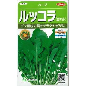 ハーブの種 ルッコラ(ロケット)約700粒 サカタのタネ