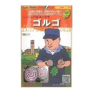 イタリア野菜 ゴルゴ 80粒 トキタ種苗