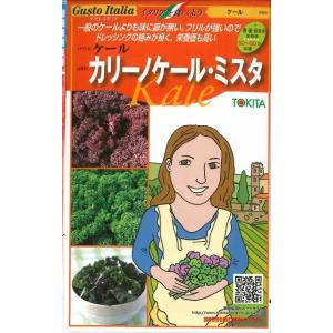 イタリア野菜 カリーノケール・ミスタ 40粒 ト...の商品画像