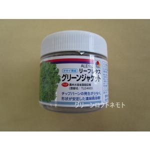 今期物　ネギ種　関羽一本太　ペレット5000粒×2袋セット① トーホク種苗 楽天市場】【取り寄せ】関羽一本太葱 コート5000粒 トーホク種苗