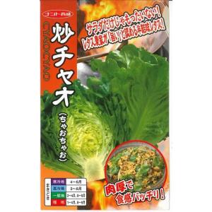 SK9-099 ブロッコリー種子 ペレット5000粒 【野菜種子】【サカタのタネ