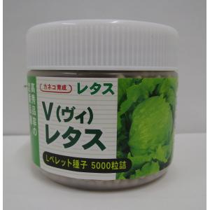 ヒートガイ レタスの種子 コート5000粒×3個 レタス ヒートガイ ペレット種子5000粒 タキイ種苗（株） : グリーン