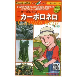 イタリア野菜 カーボロネロ 40粒 トキタ種苗(株)