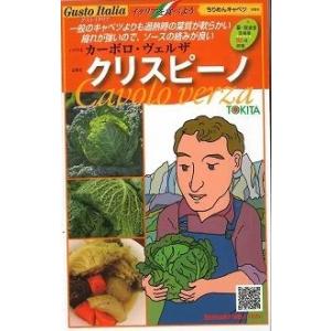 イタリア野菜　クリスピーノ　50粒　トキタ種苗（株）｜green-loft