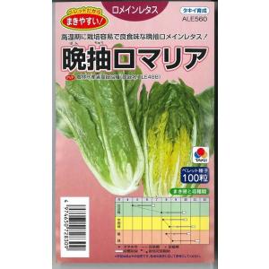 ねぎ ホワイトスター ペレット種子5000粒 タキイ種苗（株） : グリーン