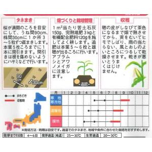 とうもろこし ポップコーン イエローポップ 約...の詳細画像1