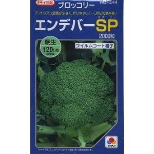 ねぎ 項羽一本太 ペレット種子 5千粒 （株）トーホク : グリーンロフト