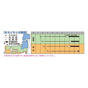 ブロッコリー エンデバーSP 2000粒 タキ...の詳細画像1