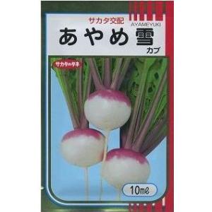 かぶ　あやめ雪　10ｍｌサカタ交配