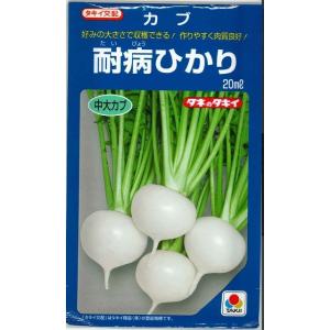 枝豆 丹波黒大粒大豆 1L タキイ種苗（株） : グリーンロフトネモト
