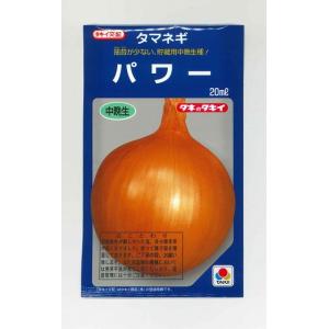 たまねぎ パワー 20ml タキイ種苗（株）