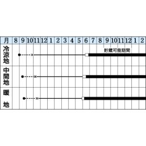 たまねぎ パワー 20ml タキイ種苗(株)の詳細画像1