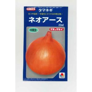 たまねぎ ネオアース 20ml タキイ種苗（株）