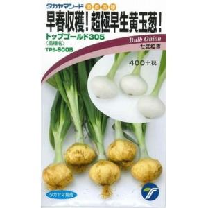 たまねぎ トップゴールド305 3ml (約380粒)（株）タカヤマシード