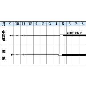 たまねぎ ソニック 20ml タキイ種苗の詳細画像1