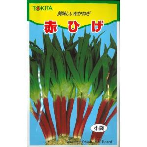 ねぎ 森の奏で 5ml トキタ種苗 : グリーンロフトネモト - 通販 - Yahoo