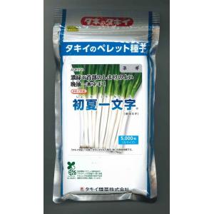 ねぎ 項羽一本太 ペレット種子 5千粒 （株）トーホク : グリーンロフト