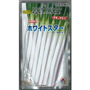 ねぎ ホワイトスター 1dl タキイ種苗（株）