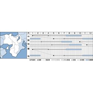 ねぎ ホワイトスター 1dl タキイ種苗(株)の詳細画像1