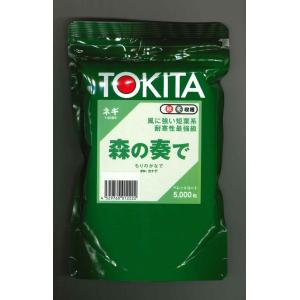 ねぎ 関羽一本太 ペレット種子5千粒 （株）トーホク : グリーンロフト