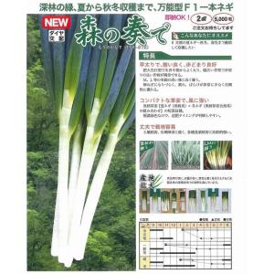 ねぎ 森の奏で ペレット種子5000粒 トキタ種苗の詳細画像1