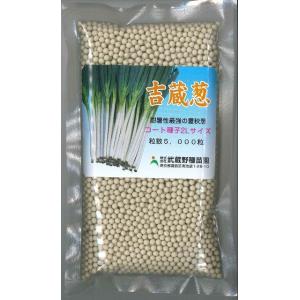 ねぎ 羽緑一本太葱ペレット種子 5000粒 （株）トーホク : グリーン