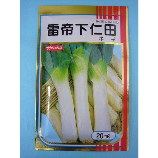 ねぎ 雷帝下仁田 20ml （株）サカタのタネ