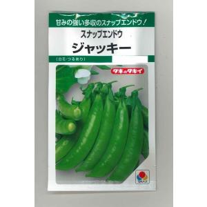豆類　スナップエンドウ　ジャッキー　18ml    　タキイ種苗（株）　ＧＦ