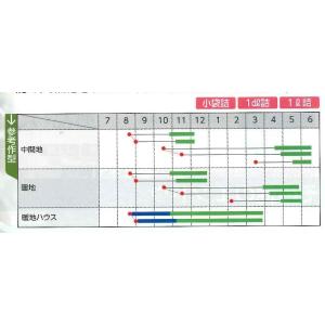 フルーツスナップ豌豆 幸姫 20ml 松永種苗(株)の詳細画像1