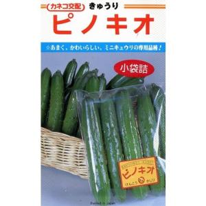 きゅうり ニーナZ 350粒 （株）埼玉原種育成会 : グリーンロフトネモト