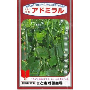 ねぎ ホワイトスター ペレット種子5000粒 タキイ種苗（株） : グリーン