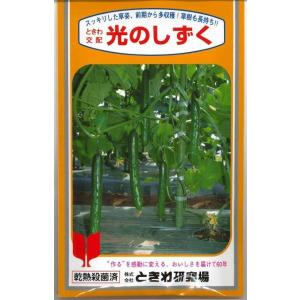 送料無料！　きゅうり　光のしずく　350粒　（株）ときわ研究場