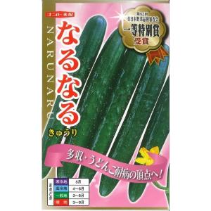きゅうり Vロード 10粒 タキイ種苗（株） DF : グリーンロフトネモト