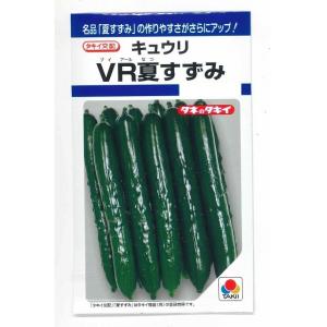 きゅうり ＶＲ夏すずみ 13粒 タキイ種苗(株) ＤＦ