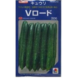 きゅうり Vロード 350粒 タキイ種苗（株）