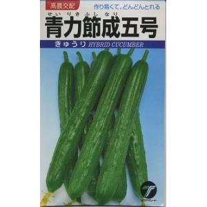 きゅうり Vシャイン 350粒 タキイ種苗（株） : グリーンロフトネモト