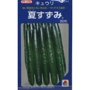 きゅうり 夏すずみ 350粒 タキイ種苗（株）