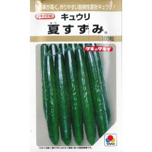 きゅうり 夏すずみ  100粒 タキイ種苗（株）