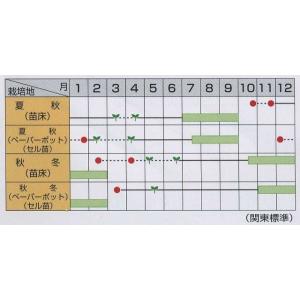 ねぎ 夏扇4号 ペレット種子 6000粒 (株...の詳細画像2