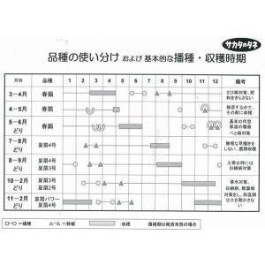 ねぎ 夏扇4号 ペレット種子 6000粒 (株...の詳細画像3