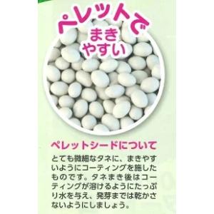 ねぎ 夏扇4号 ペレット種子 6000粒 (株...の詳細画像4
