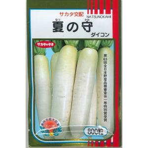 大根 夏の守 800粒 （株）サカタのタネ
