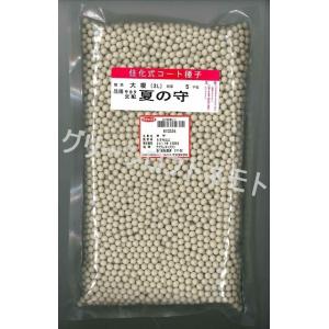 大根 夏の守 ペレット種子5000粒 （株）サカタのタネ