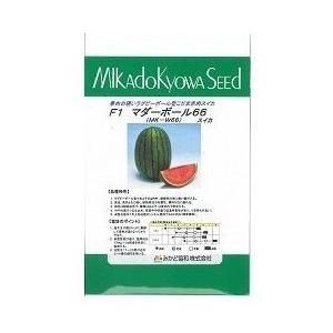 スイカ　マダーボール６６　10粒　みかど協和　