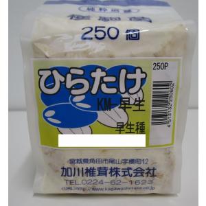 豆っちゃさま専用 茶豆7号（90日中晩生）50ml【枝豆種子】佐藤政行種苗 （旧：庄内茶豆