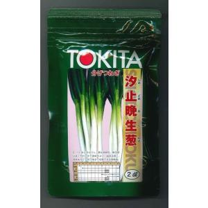 ねぎ 名月一文字 1dl タキイ種苗（株） : グリーンロフトネモト - 通販