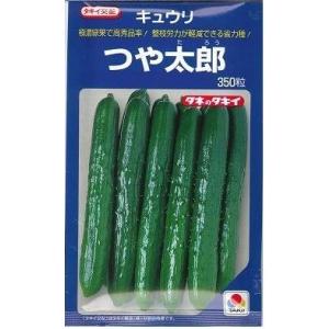 きゅうり つや太郎 350粒 タキイ種苗(株)